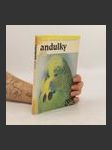 Andulky - náhled