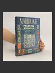 Numerologie. Praktická příručka, jak odhalit tajemství vlastní osobnosti pomocí čísel - náhled