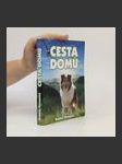 Cesta domů - náhled