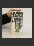 Za závejmi záveje - náhled