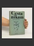 Cesta nikam - náhled