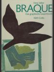 Braque - Das graphische Gesamtwerk - náhled