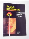 Škola bioenergie - tajemná magie těla - náhled