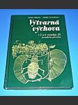 Výtvarná výchova v 5. a 6. ročníku ZŠ - Metodická příručka - náhled