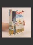 The Giant All-Colour Dictionary - náhled