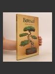 Bonsai - náhled