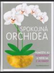 Spokojná orchidea - náhled