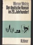 Der deutsche Roman im 20. Jahrhundert - náhled