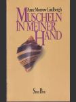 Muscheln in meiner hand - náhled