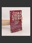 Česká literatura 4. Od roku 1945 do současnosti. - náhled