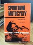 Sportovní motocykly - náhled