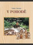 V  pohodě - náhled