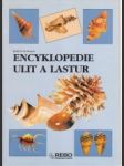 Encyklopedie ulit a lastur - náhled