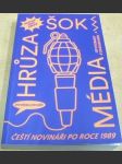 Hrůza. Šok. Média. Čeští novináři po roce 1989 - náhled