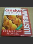 Čínsko-český slovník ilustrovaný dvojjazyčný slovník - náhled