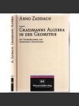 Grassmanns Algebra in der Geometrie. Mit Seitenblicken auf verwandte Strukturen [věda, matematika] - náhled