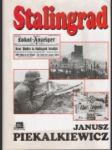 Stalingrad - náhled