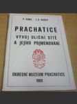 Prachatice - vývoj uliční sítě a jejího pojmenování - náhled