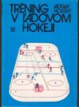 Tréning v ľadovom hokeji - náhled