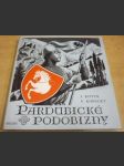 Pardubické podobizny - náhled