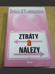 Ztráty a nálezy - náhled