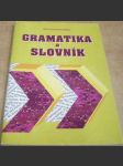 Gramatika a slovník - náhled