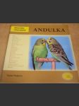 Andulka - náhled