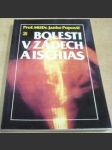 Bolesti v zádech a ischias - náhled