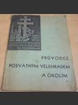 Průvodce posvátným Velehradem a okolím - náhled