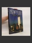 New York. Im Herzen der City - náhled