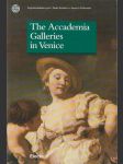 The Accademia Galleries in Venice - náhled