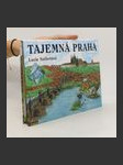 Tajemná Praha (pop-up leporelo) - náhled