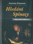 Hledání spinozy - náhled