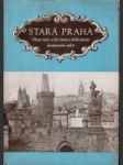 Stará Praha - náhled