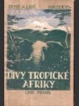 Divy tropické Afriky - náhled