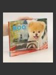 Boo: Little Dog in the Big City - náhled