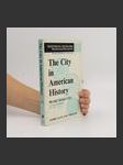 The City in American History - náhled