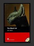 The Black Cat - náhled