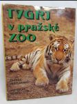 Tygři v pražské zoo - náhled