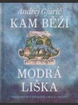 Kam běží modrá liška. Vyprávění z Malé strany. - náhled