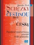 Schůzky s češtinou aneb hezky česky - náhled