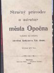 Stručný průvodce a adresář města Opočna - náhled