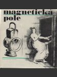 Magnetická pole - náhled