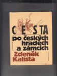 Cesta po českých hradech a zámcích (aneb Mezi tím, co je, a tím, co není) - náhled