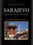 Sarajevo, čakanie na lastovičky - náhled