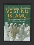 Ve stínu islámu - náhled