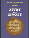 Život mezi životy - náhled