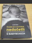 Co jste se v novinách nedočetli o babyboxech - náhled