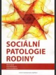 Sociální patologie rodiny - náhled