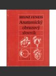 Anatomický obrazový slovník (anatomie člověka, orgány, kosti) - náhled